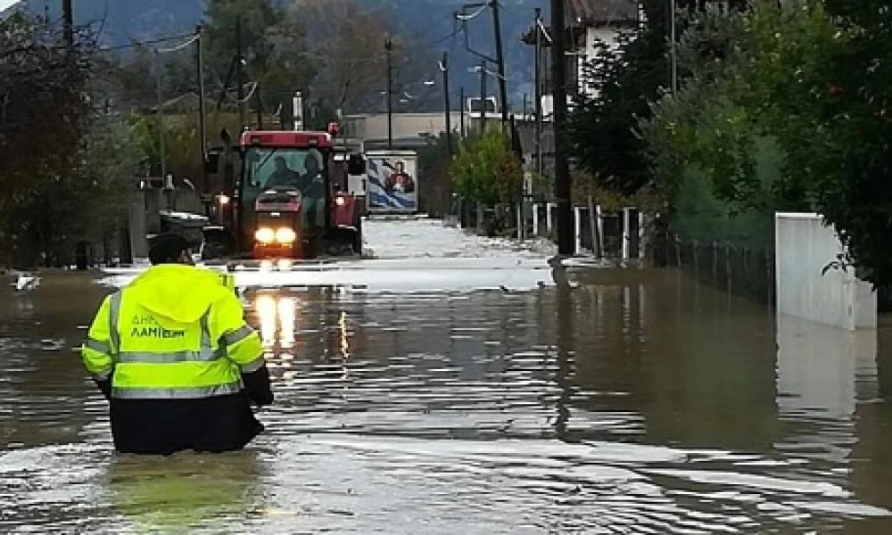 Λαμία: Άνδρες της ΕΜΑΚ έσωσαν σκυλάκι στο χωριό Κόμμα